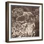 Sepia Barrier Reef Coral III-Kathy Mansfield-Framed Photographic Print