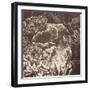 Sepia Barrier Reef Coral III-Kathy Mansfield-Framed Photographic Print