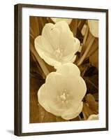 Sepia Blooms I-Jairo Rodriguez-Framed Photographic Print