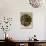Sepia Botany Study II-Vision Studio-Art Print displayed on a wall