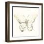 Sepia Butterfly Impressions II-June Erica Vess-Framed Art Print