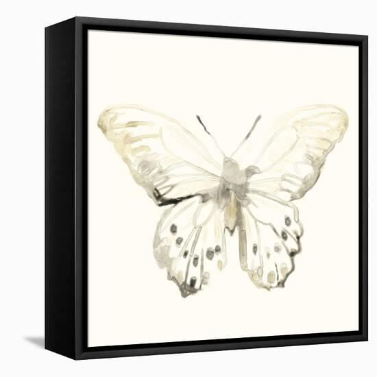 Sepia Butterfly Impressions II-June Erica Vess-Framed Stretched Canvas