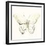 Sepia Butterfly Impressions II-June Erica Vess-Framed Art Print