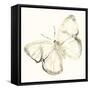 Sepia Butterfly Impressions III-June Erica Vess-Framed Stretched Canvas