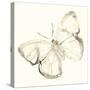 Sepia Butterfly Impressions III-June Erica Vess-Stretched Canvas
