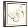 Sepia Butterfly Impressions III-June Erica Vess-Framed Art Print