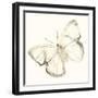 Sepia Butterfly Impressions III-June Erica Vess-Framed Art Print