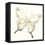 Sepia Butterfly Impressions IV-June Erica Vess-Framed Stretched Canvas