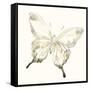 Sepia Butterfly Impressions IV-June Erica Vess-Framed Stretched Canvas