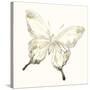 Sepia Butterfly Impressions IV-June Erica Vess-Stretched Canvas