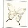 Sepia Butterfly Impressions IV-June Erica Vess-Mounted Art Print