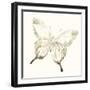 Sepia Butterfly Impressions IV-June Erica Vess-Framed Art Print