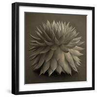 Sepia Cacti-Tom Quartermaine-Framed Giclee Print