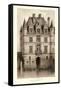 Sepia Chateaux V-Victor Petit-Framed Stretched Canvas