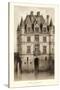 Sepia Chateaux V-Victor Petit-Stretched Canvas