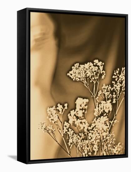 Sepia Coloured Flowers-India Hobson-Framed Stretched Canvas