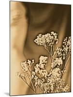 Sepia Coloured Flowers-India Hobson-Mounted Photographic Print