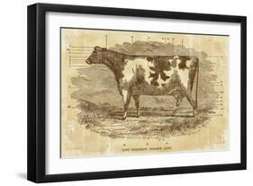 Sepia Cow Portrait-The Saturday Evening Post-Framed Giclee Print