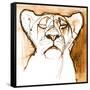 Sepia Cub, 2020, (mixed media on paper)-Mark Adlington-Framed Stretched Canvas
