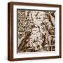 Brown Frame