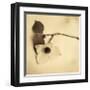 Sepia Dogwoods I-Heather Johnston-Framed Giclee Print