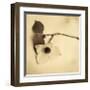 Sepia Dogwoods I-Heather Johnston-Framed Giclee Print