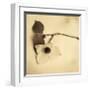 Sepia Dogwoods I-Heather Johnston-Framed Giclee Print