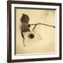 Sepia Dogwoods I-Heather Johnston-Framed Giclee Print