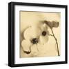 Sepia Dogwoods II-Heather Johnston-Framed Giclee Print