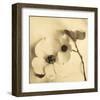 Sepia Dogwoods II-Heather Johnston-Framed Giclee Print