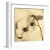 Sepia Dogwoods II-Heather Johnston-Framed Giclee Print