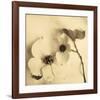 Sepia Dogwoods II-Heather Johnston-Framed Giclee Print