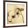 Sepia Dogwoods II-Heather Johnston-Framed Giclee Print