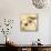 Sepia Dogwoods II-Heather Johnston-Mounted Giclee Print displayed on a wall