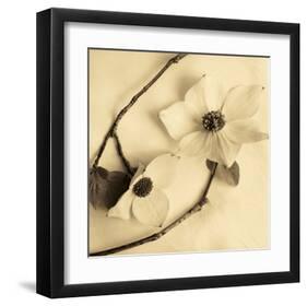 Sepia Dogwoods III-Heather Johnston-Framed Giclee Print