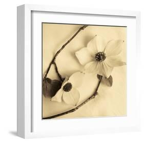 Sepia Dogwoods III-Heather Johnston-Framed Giclee Print