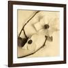 Sepia Dogwoods III-Heather Johnston-Framed Giclee Print