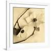 Sepia Dogwoods III-Heather Johnston-Framed Giclee Print