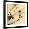 Sepia Dogwoods III-Heather Johnston-Framed Giclee Print