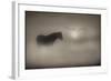Sepia Dreams-Adrian Campfield-Framed Giclee Print