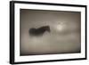 Sepia Dreams-Adrian Campfield-Framed Giclee Print