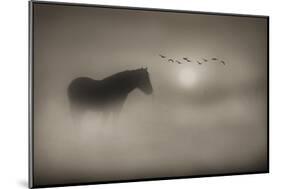 Sepia Dreams-Adrian Campfield-Mounted Giclee Print