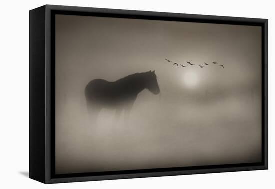 Sepia Dreams-Adrian Campfield-Framed Stretched Canvas