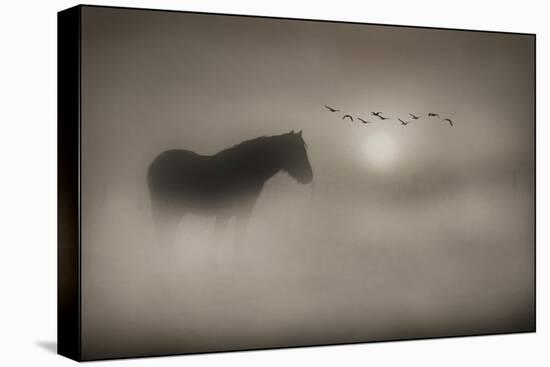 Sepia Dreams-Adrian Campfield-Stretched Canvas