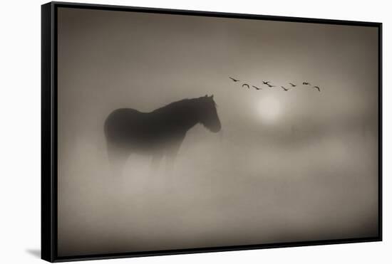 Sepia Dreams-Adrian Campfield-Framed Stretched Canvas