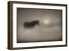 Sepia Dreams-Adrian Campfield-Framed Premium Giclee Print