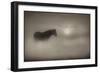 Sepia Dreams-Adrian Campfield-Framed Premium Giclee Print