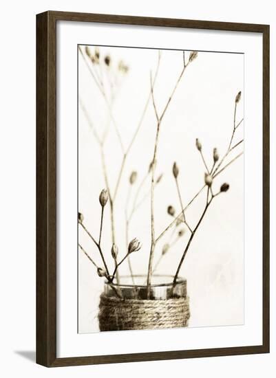 Sepia Dried Flowers 01-Tom Quartermaine-Framed Giclee Print