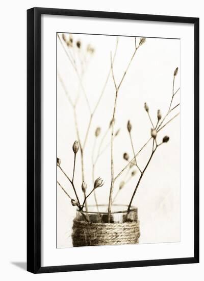 Sepia Dried Flowers 01-Tom Quartermaine-Framed Giclee Print