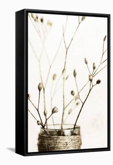 Sepia Dried Flowers 01-Tom Quartermaine-Framed Stretched Canvas